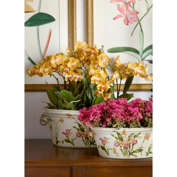 PLANTER, OVAL W/HDLS.ORCHIDS,