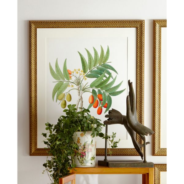 PLANTER, TAPERED ROUND, ORCHIDS ON