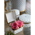 BOX, ROUND LOW, BLUE STAR FLOWER
